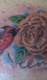 Redbird & rose